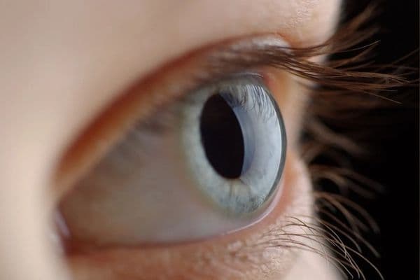 bruno vision care eye