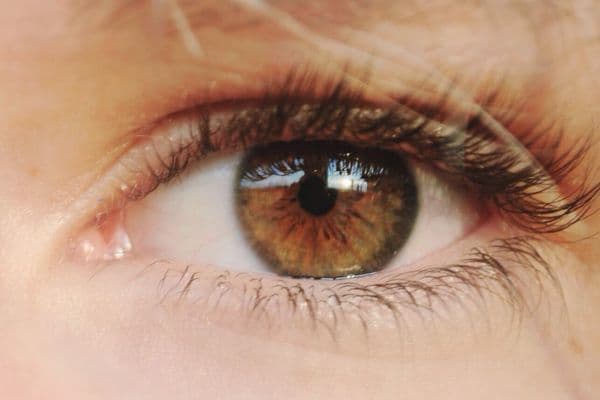Diabetic retinopathy cure?
