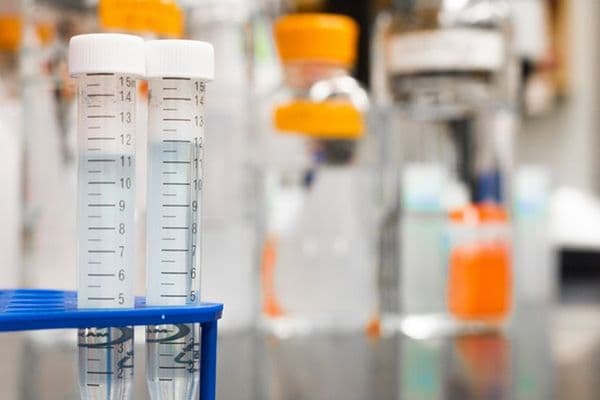 Plant chemical to treat ocular blood vessels?