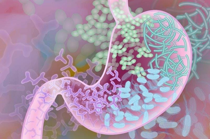 Readers’ digest: how gut flora affects the eye