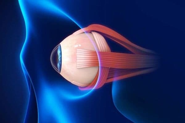 Glaucoma - brain degeneration link