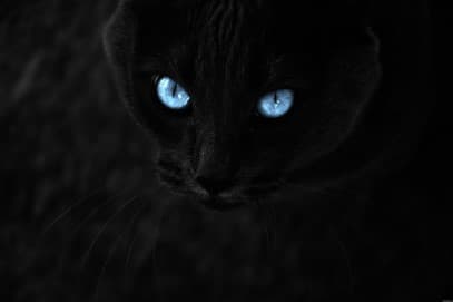 Blue eyes better in the dark