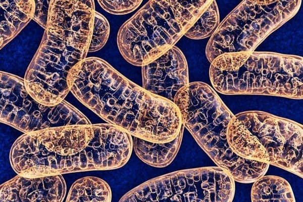 Biomarkers predictive of glaucoma treatment response